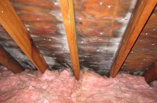 Attic with insulation